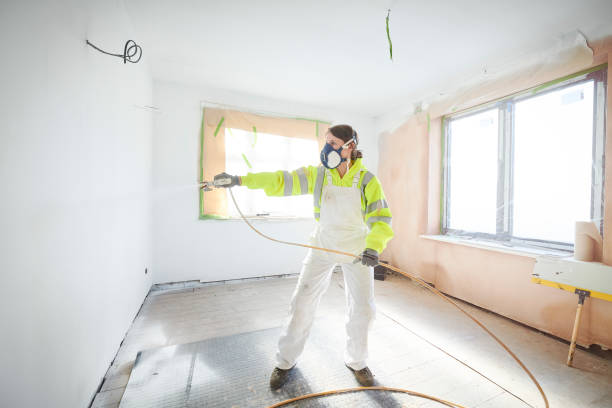 Best Attic Mold Removal  in Camdenton, MO